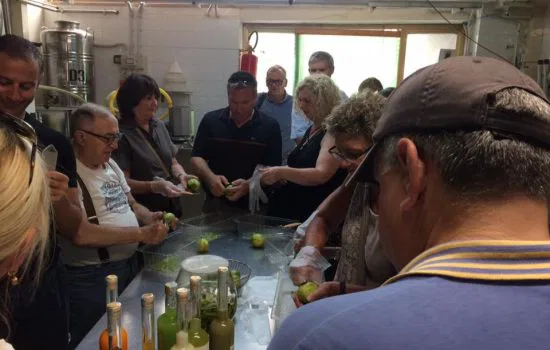 liquorificio limoncello artigianale Carlo Mansi